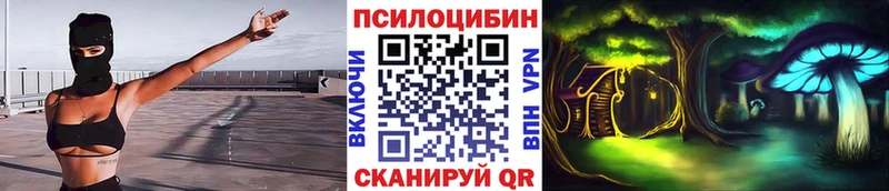 купить Инсар Псилоцибиновые грибы GOLDEN TEACHER